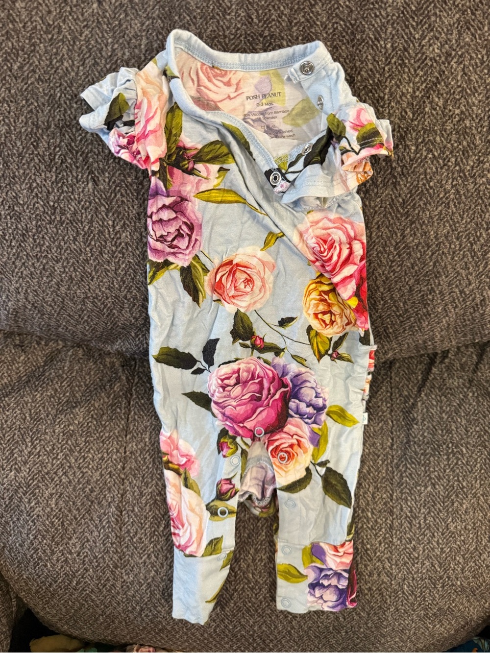 Posh Peanut Light Blue Floral Romper with Pink & Purple Roses